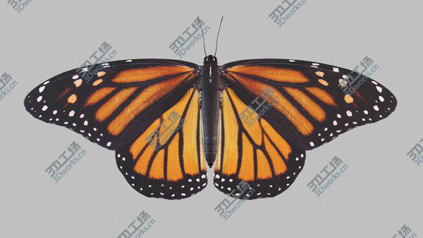 images/goods_img/20210312/Butterfly Collection 3D model/3.jpg